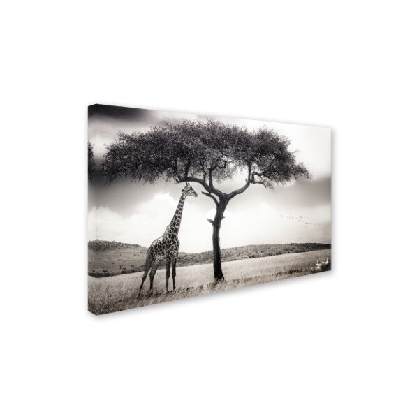 Piet Flour 'Under The African Sun' Canvas Art,16x24